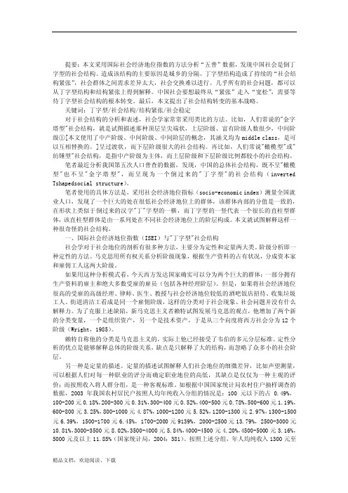 中国经济丁字型社会结构与结构紧张