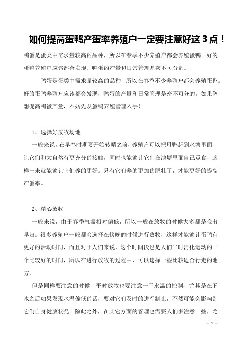 如何提高蛋鸭产蛋率养殖户一定要注意好这3点!