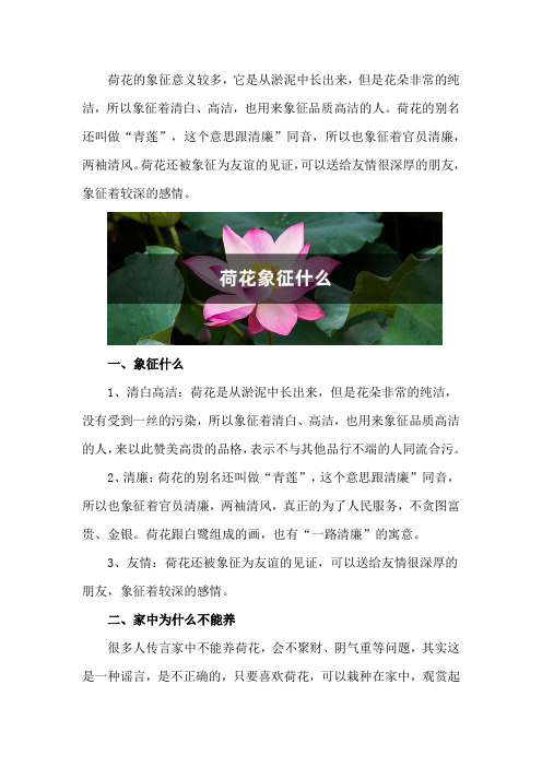 荷花象征什么,家里为什么不能养荷花