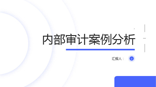 内部审计案例以分析