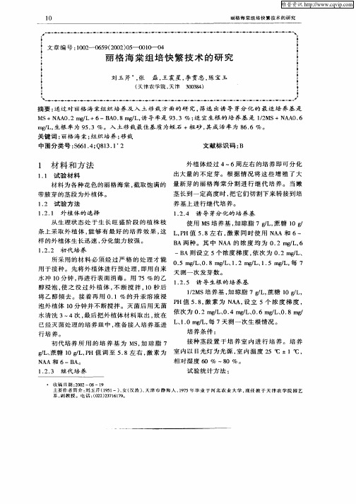 丽格海棠组培快繁技术的研究