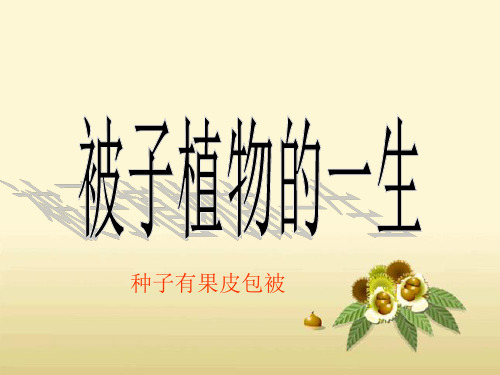 《与生物学有关的职业  农业技术员和绿色证书》PPT课件(福建省县级优课)