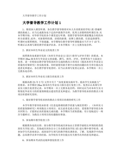 大学督导教学工作计划