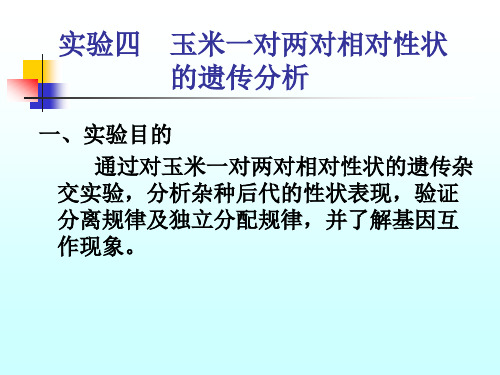 实验五  玉米一对两对相对性状