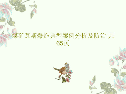 煤矿瓦斯爆炸典型案例分析及防治 共65页67页文档