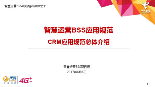 10-中国电信智慧运营BSS规范培训——CRM应用规范