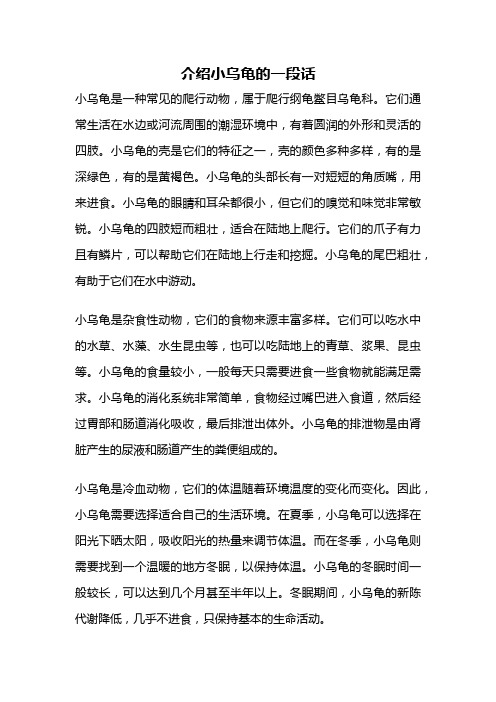 介绍小乌龟的一段话