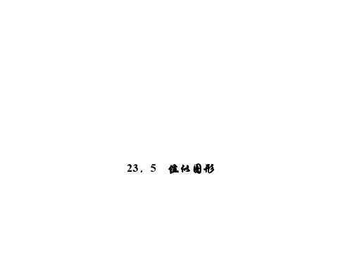 九年级数学上册 23.5 位似图形习题课件 (新版)华东师大版