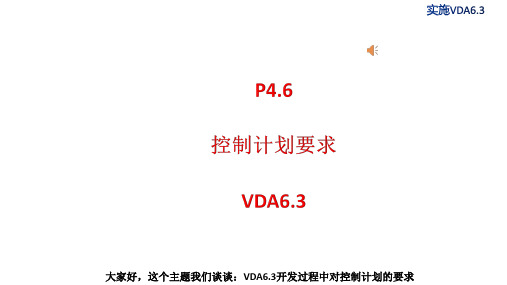 P4.6控制计划要求—VDA6.3