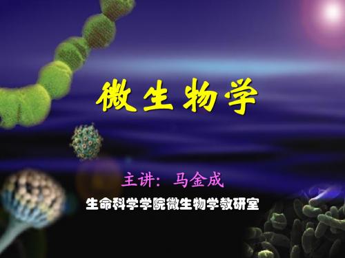 8第六章 微生物的营养