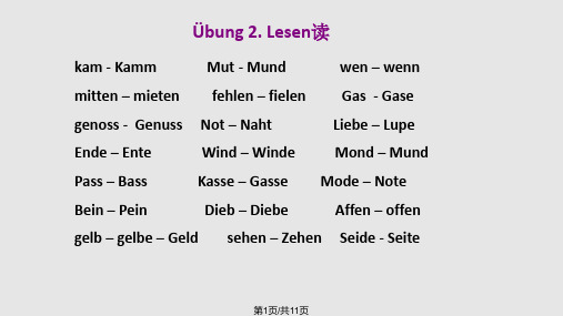 德语动词sein的变位PPT课件