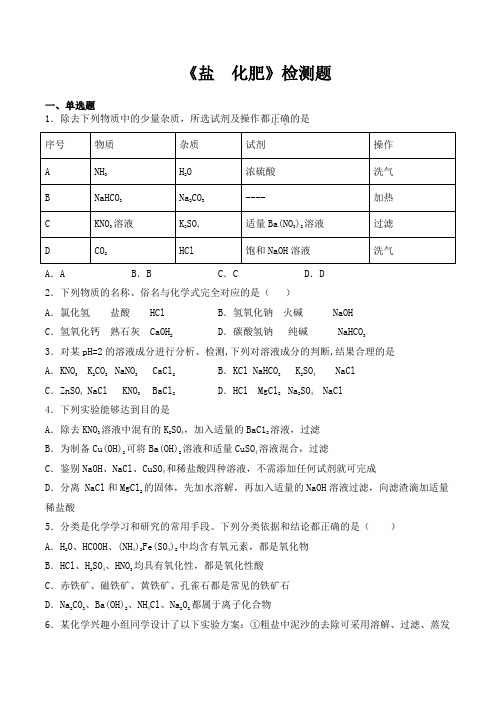 人教版初中化学九年级下册第十一单元《盐  化肥》检测题(包含答案)