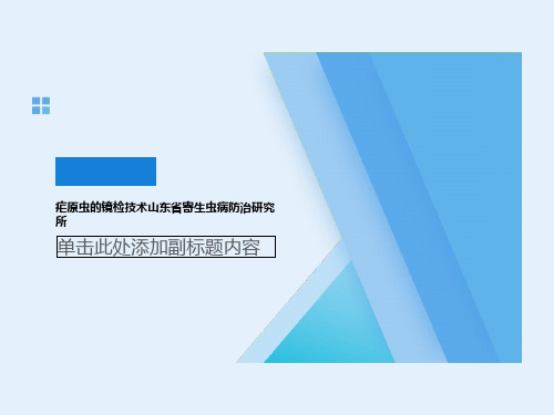 疟原虫的镜检技术山东省寄生虫病防治研究所