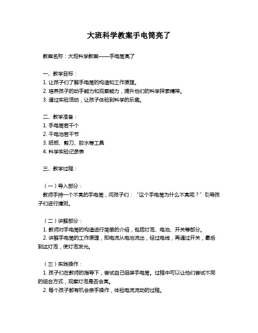 大班科学教案手电筒亮了