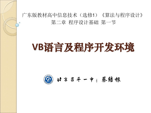 VB语言及程序开发环境_说课稿