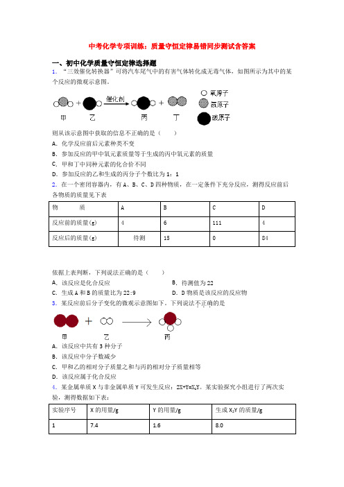 中考化学专项训练：质量守恒定律易错同步测试含答案