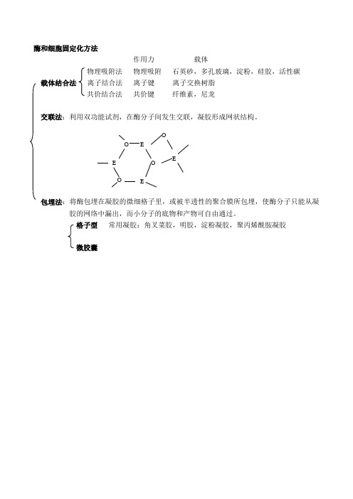 酶和细胞固定化方法