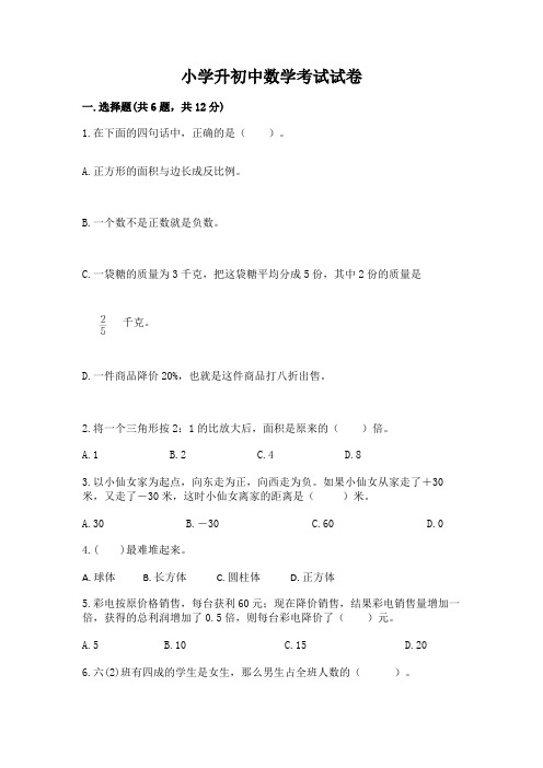 小学升初中数学考试试卷及完整答案【典优】