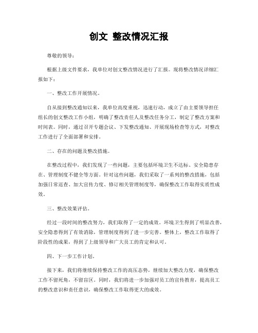 创文 整改情况汇报