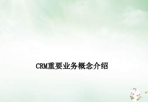 某公司CRM重要业务概念介绍(PPT38页)