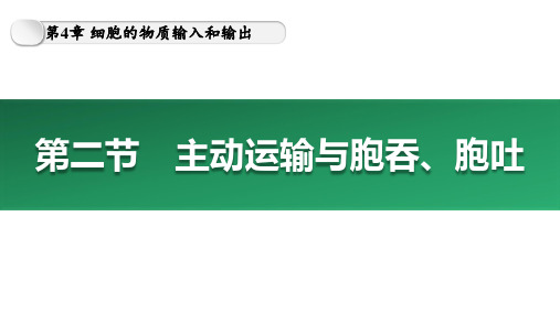 【课件】主动运输与胞吞、胞吐课件人教版必修1