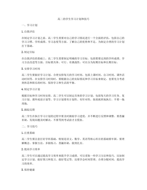 高二的学生学习计划和技巧