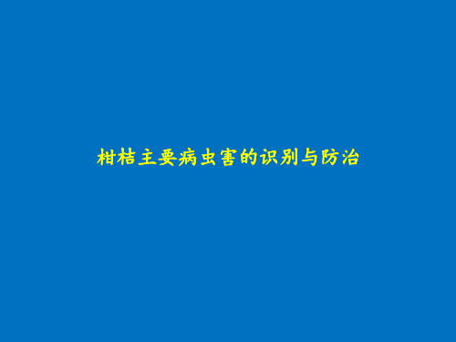 柑桔主要病虫害的识别与防治课件