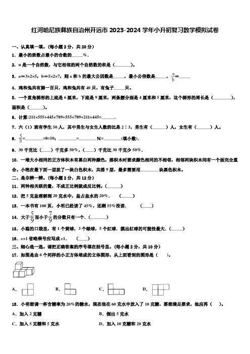 红河哈尼族彝族自治州开远市2023-2024学年小升初复习数学模拟试卷含解析