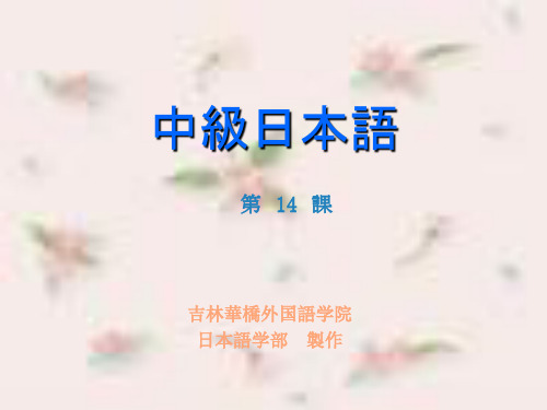 中级14课(本文)ppt