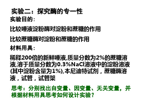 实验二探究酶的专一性