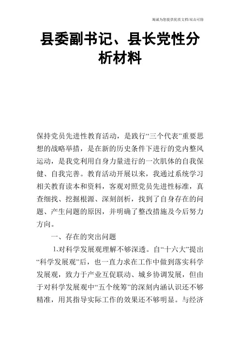 县委副书记、县长党性分析材料