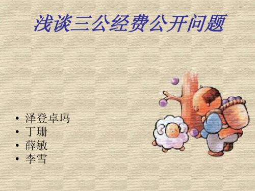 三公经费