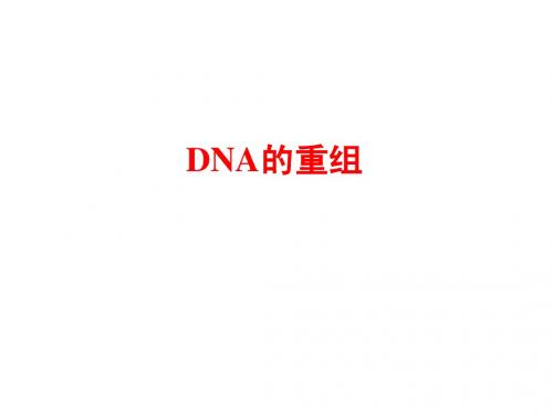 DNA的重组