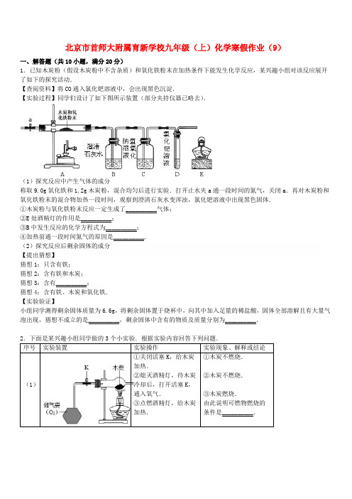 北京市首师大附属育新学校九年级化学上学期寒假作业(9)(含解析) 新人教版