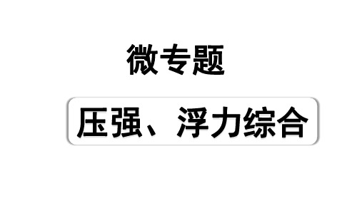 2024宁夏中考物理二轮复习 微专题 压强、浮力综合(课件)