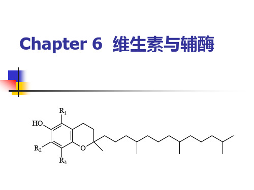 第6章 维生素与辅酶.ppt