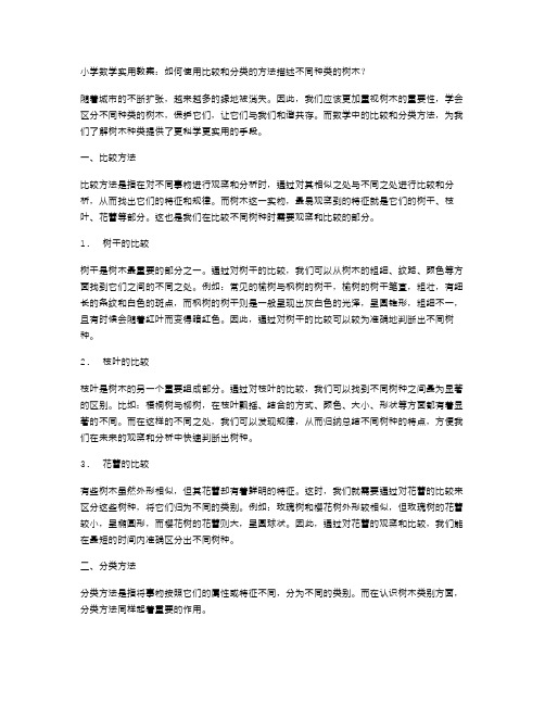 小学数学实用教案：如何使用比较和分类的方法描述不同种类的树木？