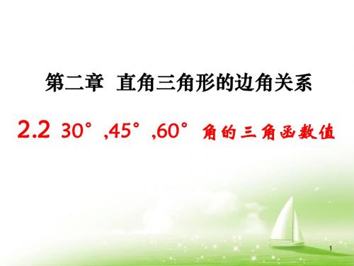 鲁教版九年级数学上册第二章直角三角形的边角关系《30°,45°,60°角的三角函数值》参考课件2