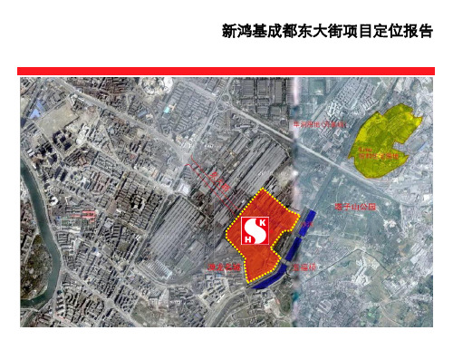 戴德梁行新鸿基成都东大街项目定位报告