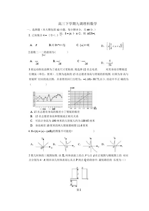 河北衡水中学2020年第九次调研考试理数试题含答案