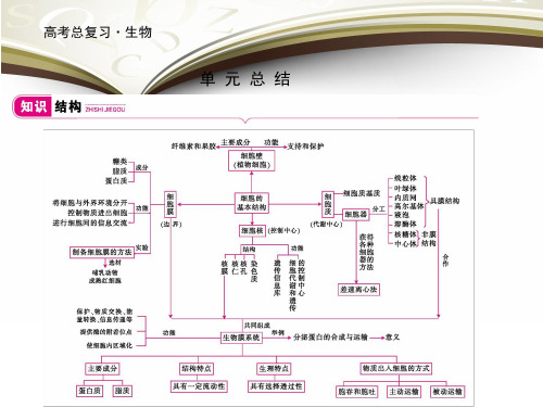 2019届一轮复习人教版 细胞的结构基础 单元总结 课件