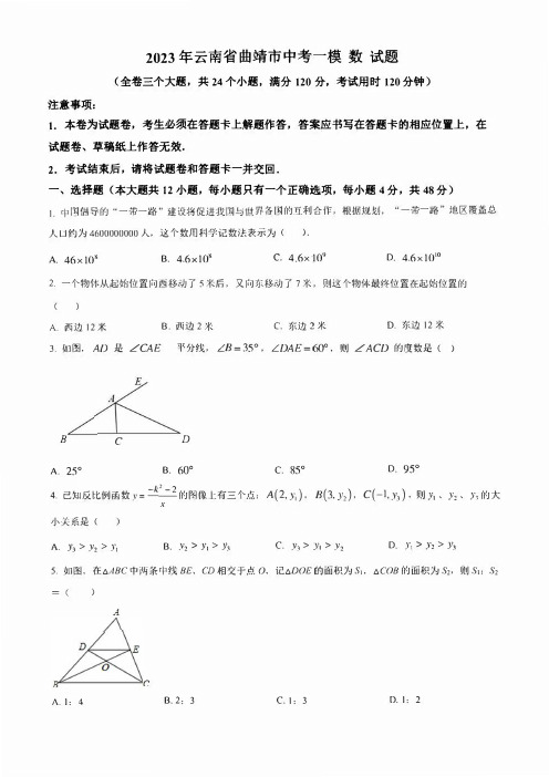 2023年云南省曲靖市中考一模 数 试题(学生版+解析版)