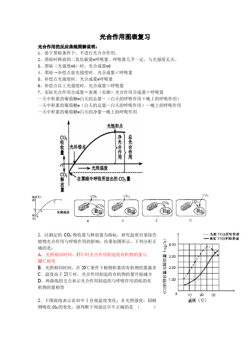 光合作用图表复习