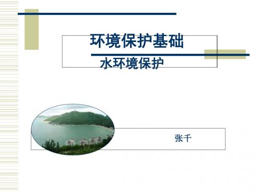 环境保护基础之水环境保护(PPT 98张)