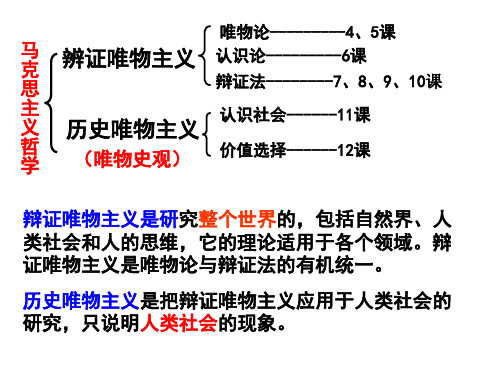 第十一课寻觅社会的真谛精选全文