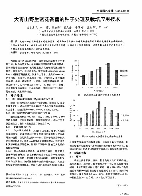 大青山野生密花香薷的种子处理及栽培应用技术