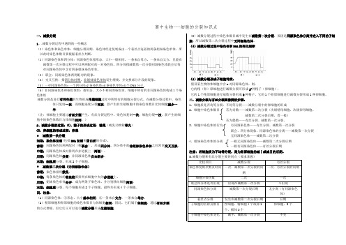 有丝分裂与减数分裂过程图及知识点归纳