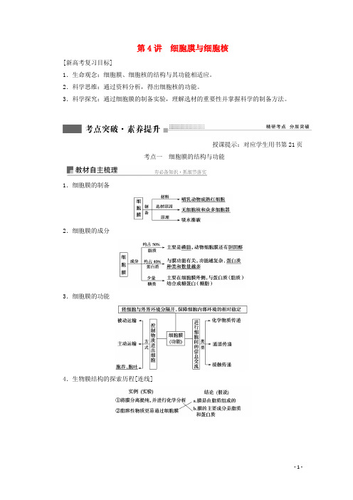 2022届高考生物一轮复习第二单元细胞的结构与物质运输第4讲细胞膜与细胞核学案苏教版