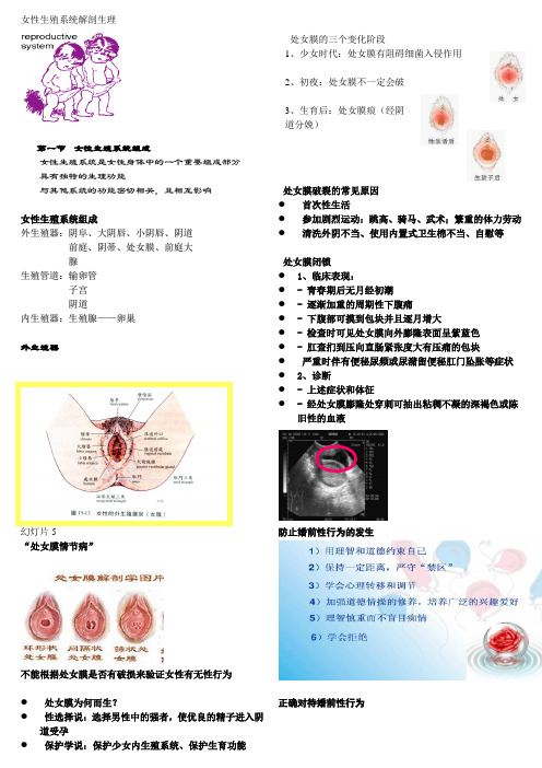 女性保健-女性生殖系统解剖与生理-1