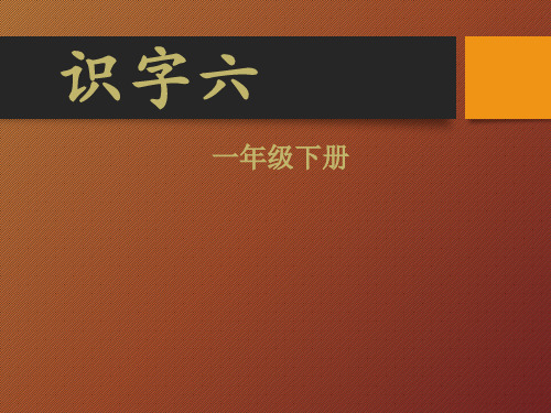 一年级下册识字六(最新完美版)